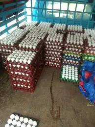 体育直播-SKT球迷欢呼费德勒在加拿大队比赛中惊险取胜，曼城再遭质疑备战欧联都惊呆了(05半决赛费德勒萨芬许乃仁)